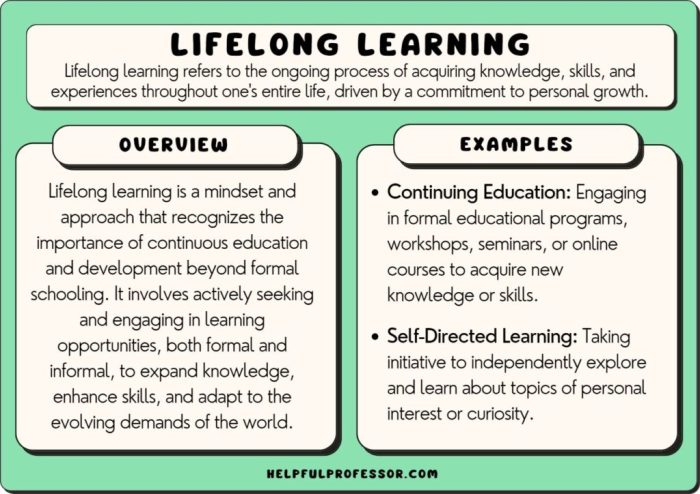 6 Great Lifelong Learning Examples (Plus Criticisms)