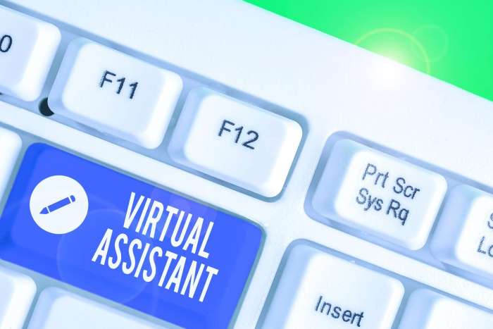 What skills do virtual assistants need | VA Training | VA Classes