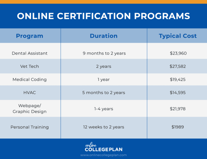 Are Online Certification Programs Worth It?